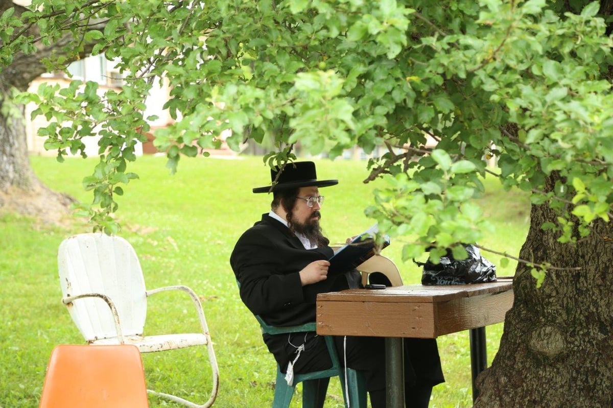 ארצות הברית: אלפי חרדים יצאו לנופש בהרים; צפו בגלריה