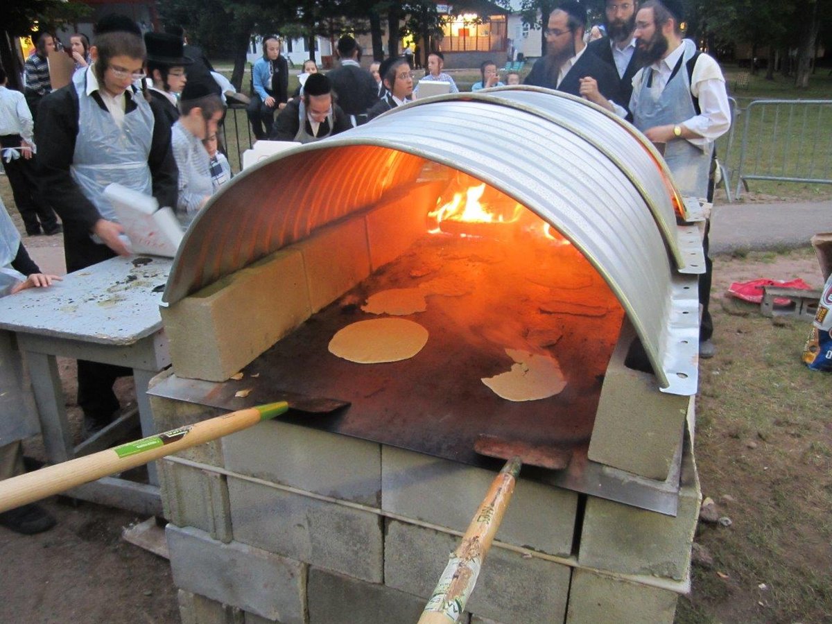 תמונות: נופש הילדים בהרי הקטסקילס