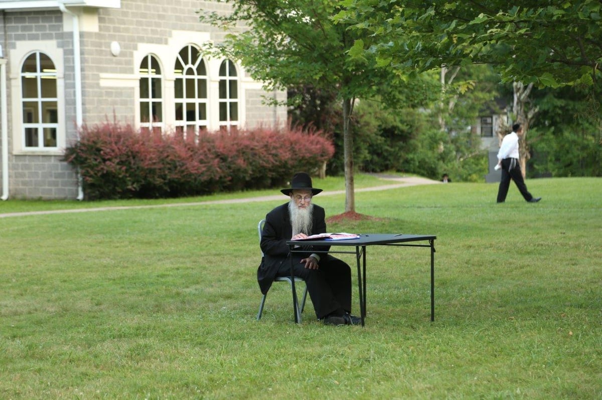 ובינתיים באמריקה: נופשים ולומדים