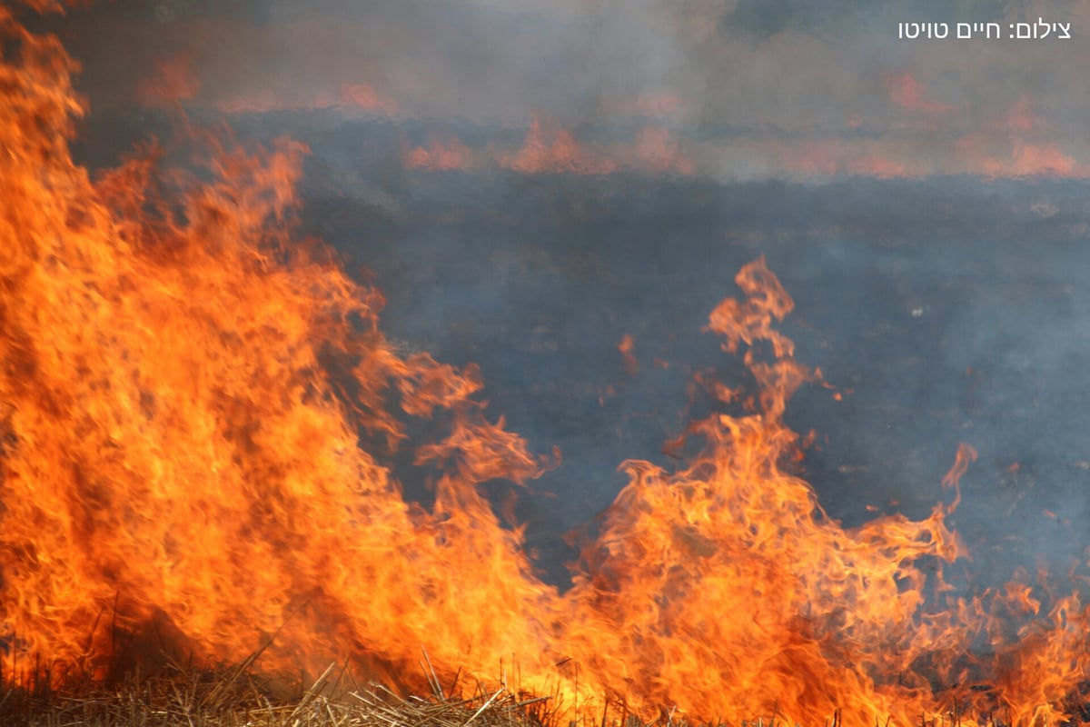 תיעוד: כך נראית נפילה בשטח פתוח