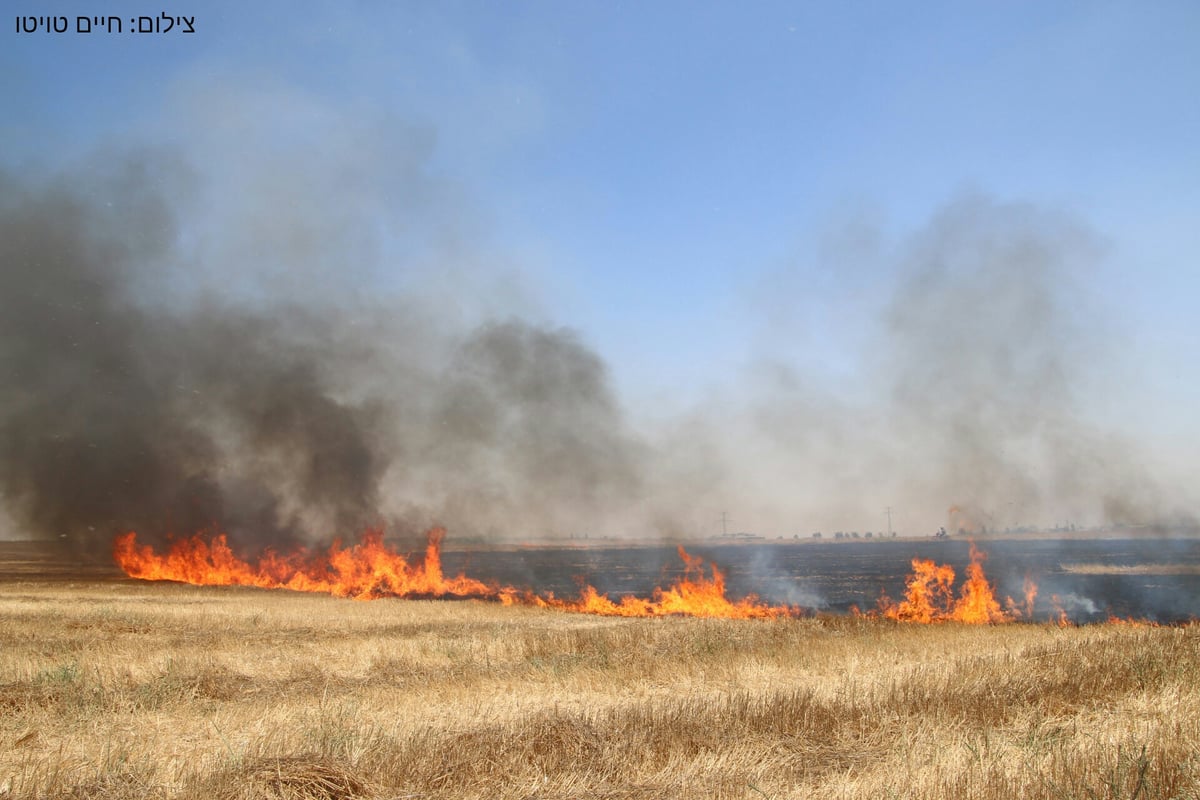 תיעוד: כך נראית נפילה בשטח פתוח