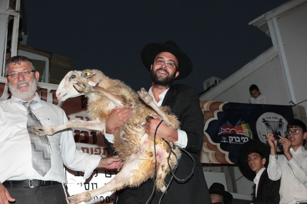 תיעוד: גדולי ישראל בפדיון פטר חמור