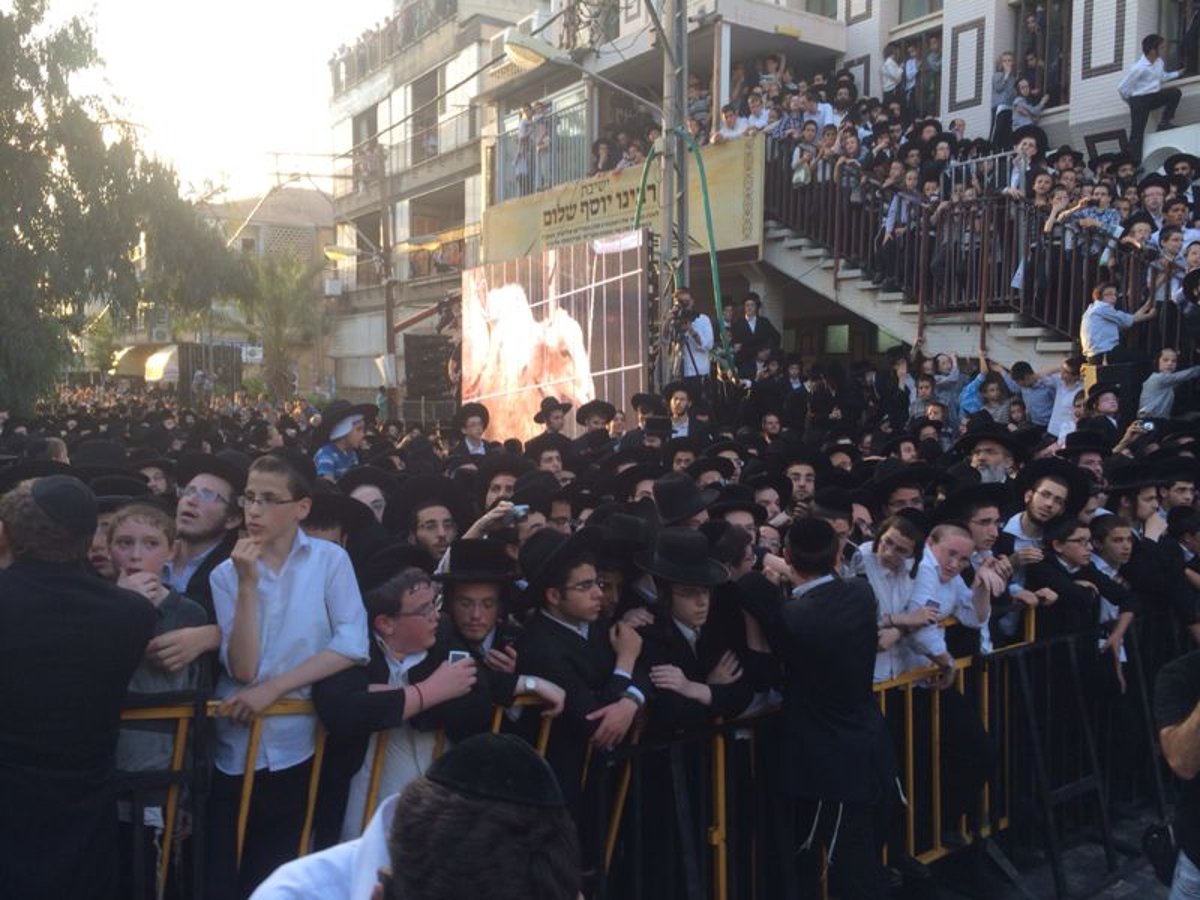 בני ברק: אלפים במעמד נדיר של פדיון פטר חמור