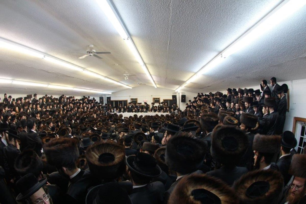 תיעוד ענק: טיש "יום ההצלה" בחסידות סקולען