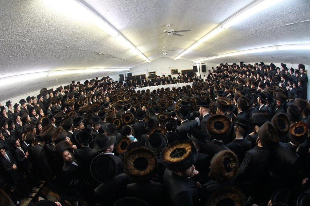 תיעוד ענק: טיש "יום ההצלה" בחסידות סקולען