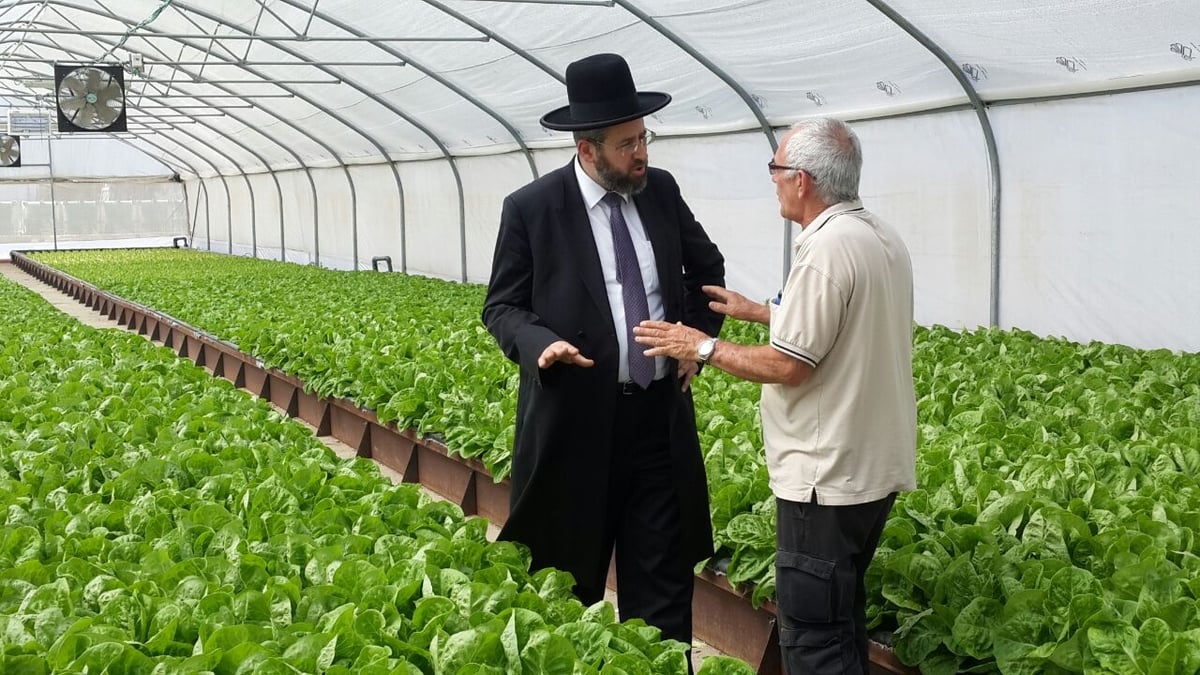 לקראת השמיטה: הרב דוד לאו עם החקלאים בשדות • צפו