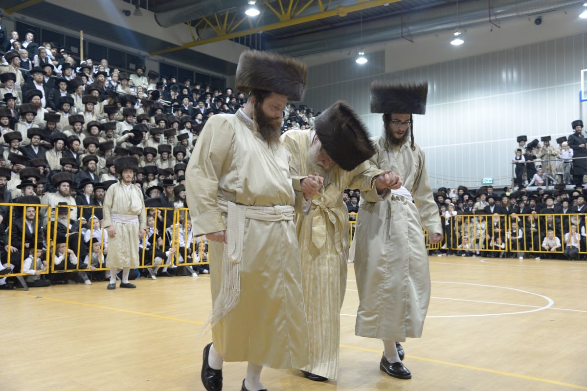 גלריה: חתונה בחצרות תולדות אברהם יצחק וספינקא