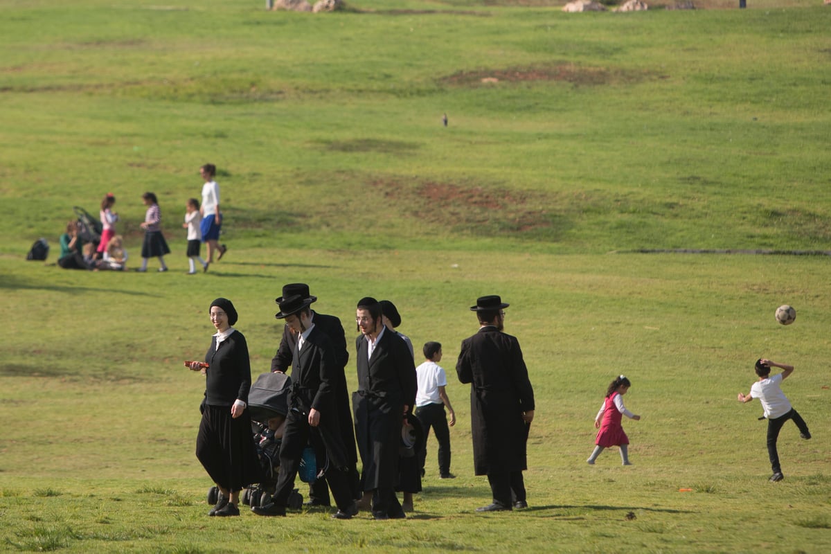 תמונות: חופשת בין הזמנים בגן סאקר