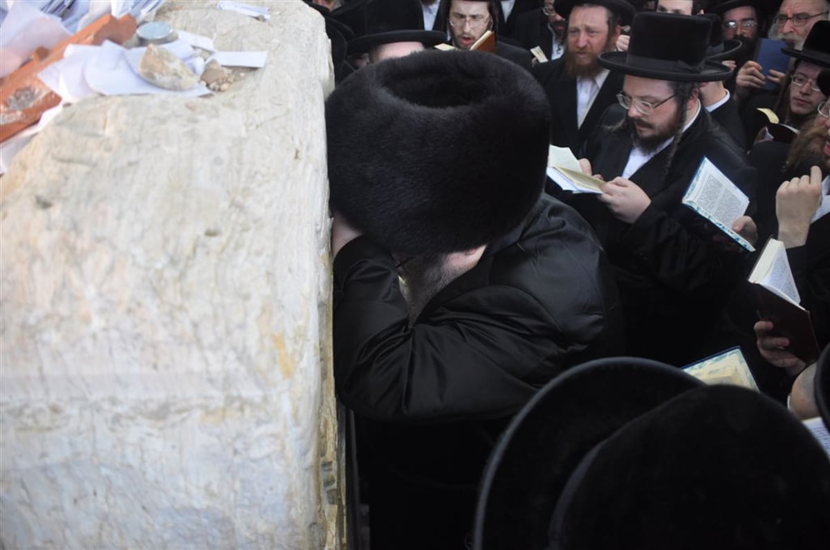 היארצייט בבעלזא: מהעלייה לציון ועד עריכת הטיש • תיעוד