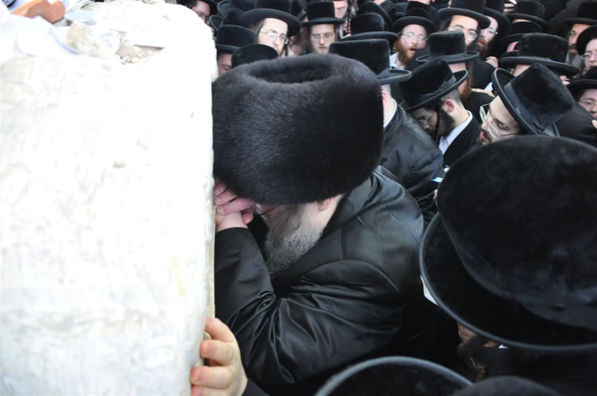 היארצייט בבעלזא: מהעלייה לציון ועד עריכת הטיש • תיעוד