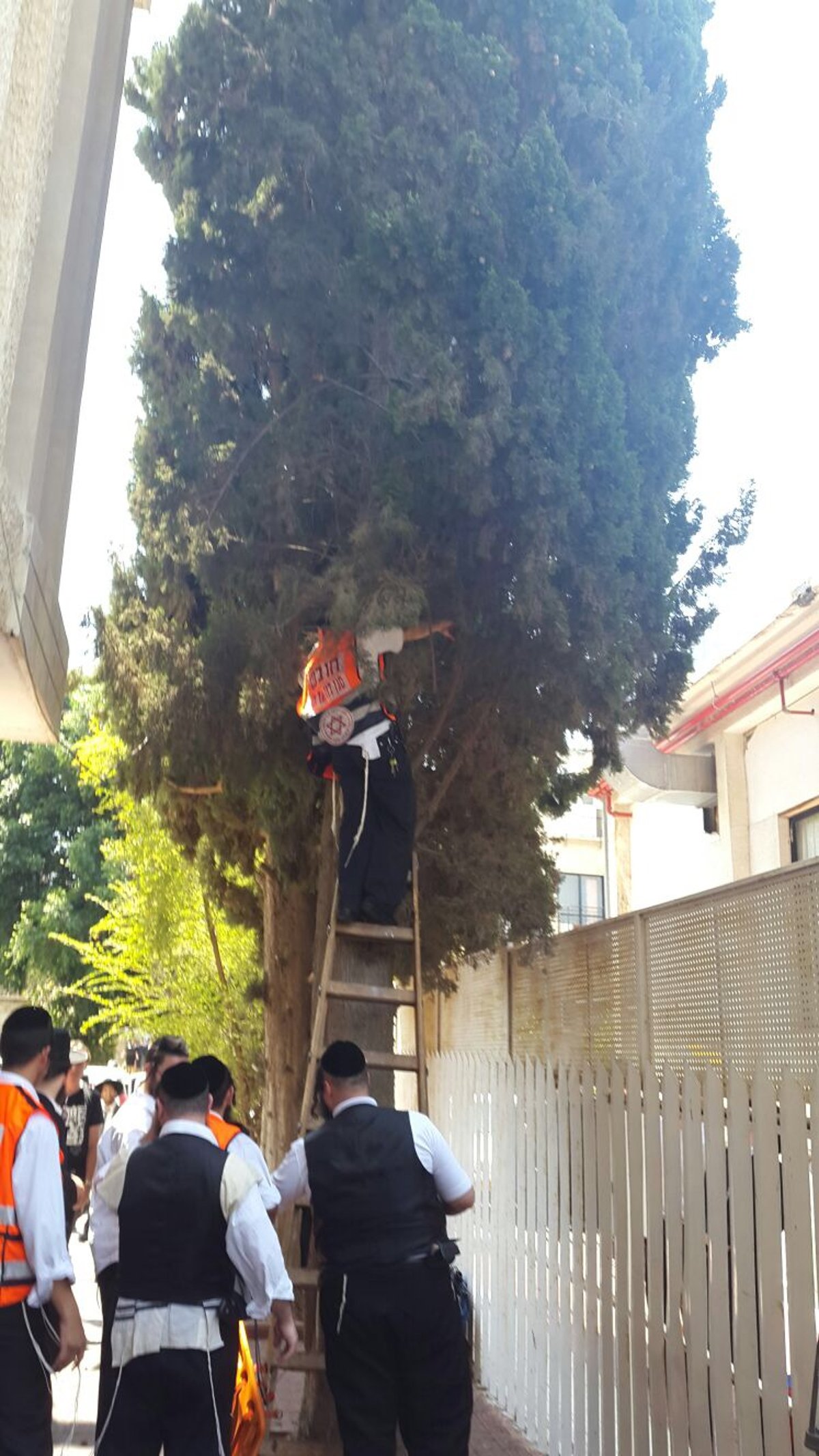 בני ברק: ניסה לגנוב ונתלה על העץ בעת שברח