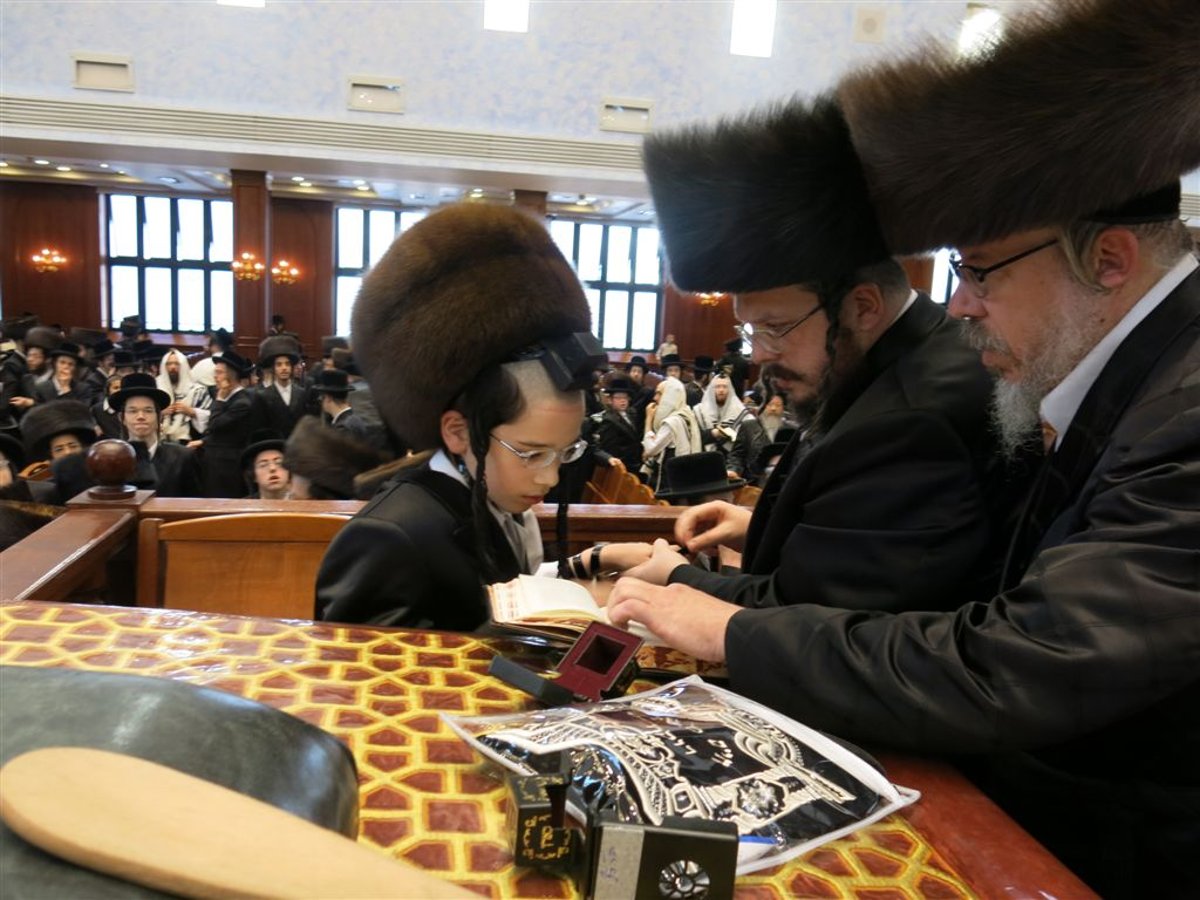 התרגשות בבעלזא: הרבי הניח תפילין לנכדו