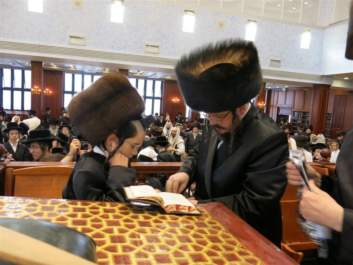 התרגשות בבעלזא: הרבי הניח תפילין לנכדו