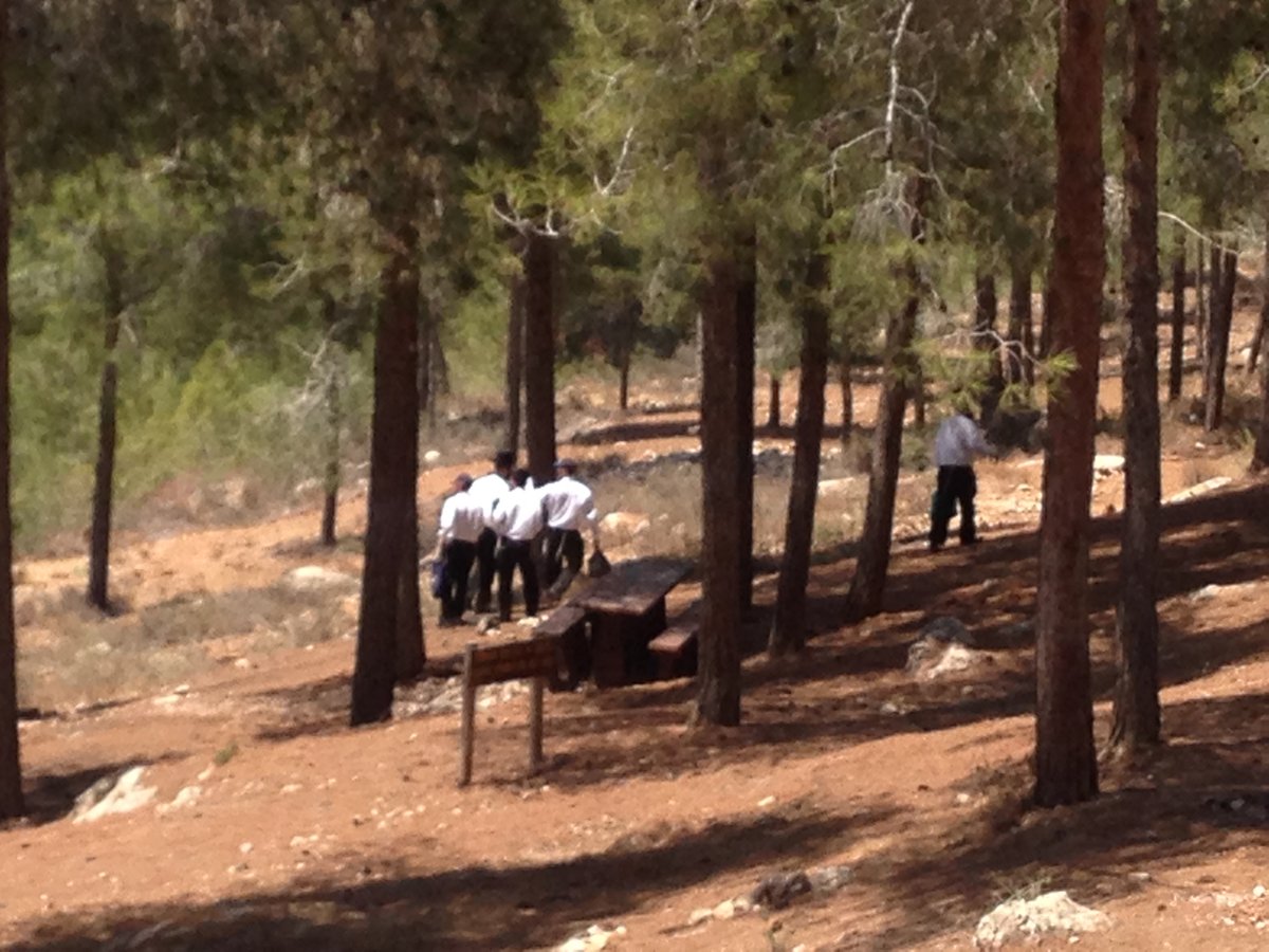 תמונות: החיפושים ביער ירושלים אחר אהרון סופר