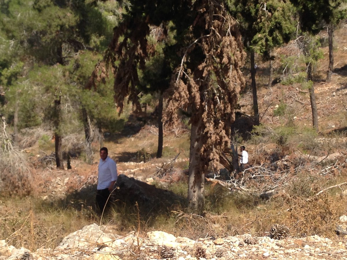 תמונות: החיפושים ביער ירושלים אחר אהרון סופר