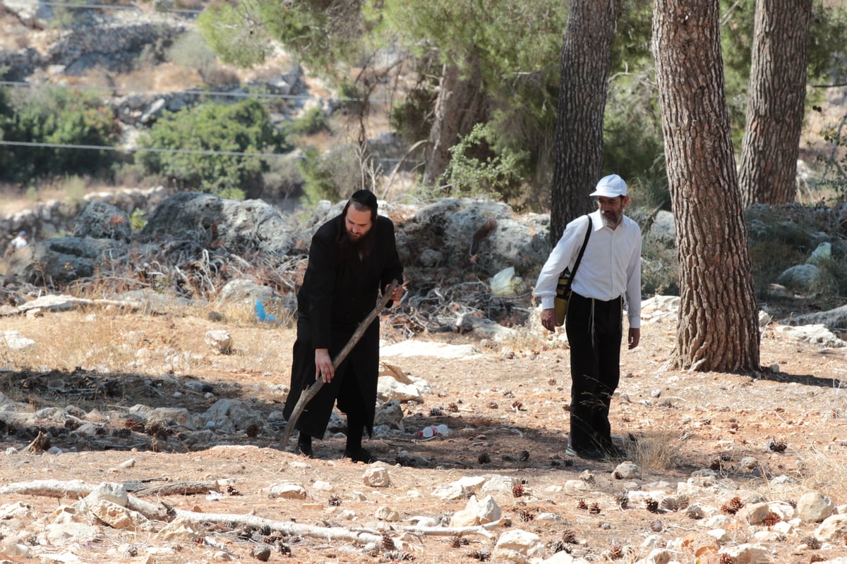 גלריה: מבצע החיפושים אחר הנעדר אהרון סופר