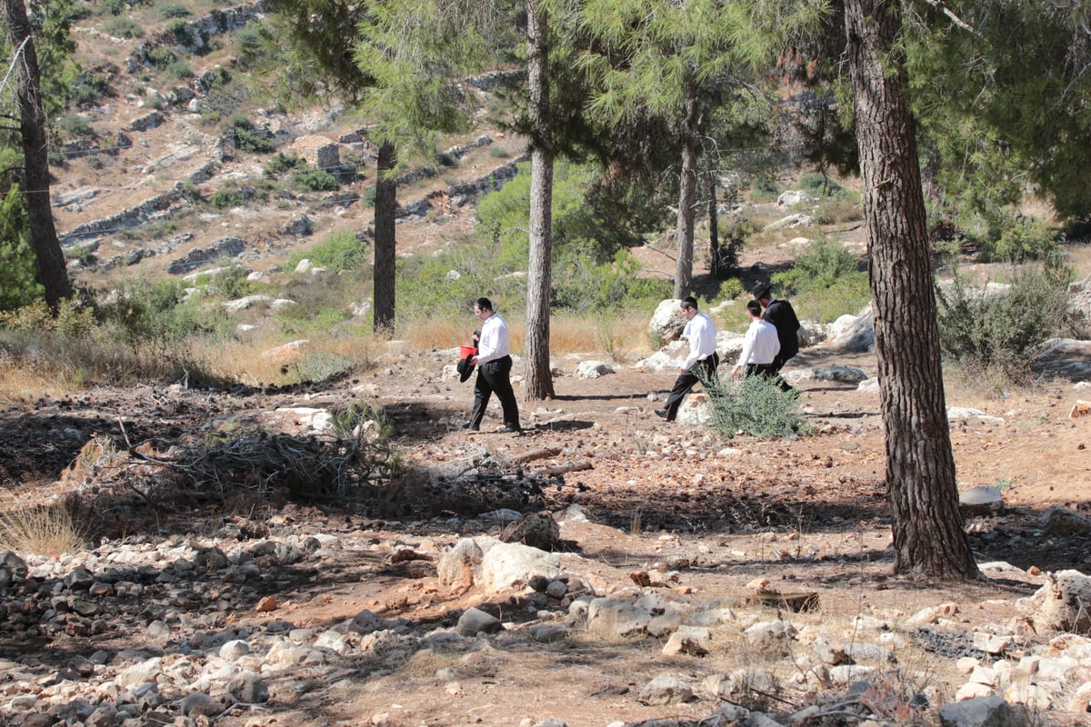 גלריה: מבצע החיפושים אחר הנעדר אהרון סופר