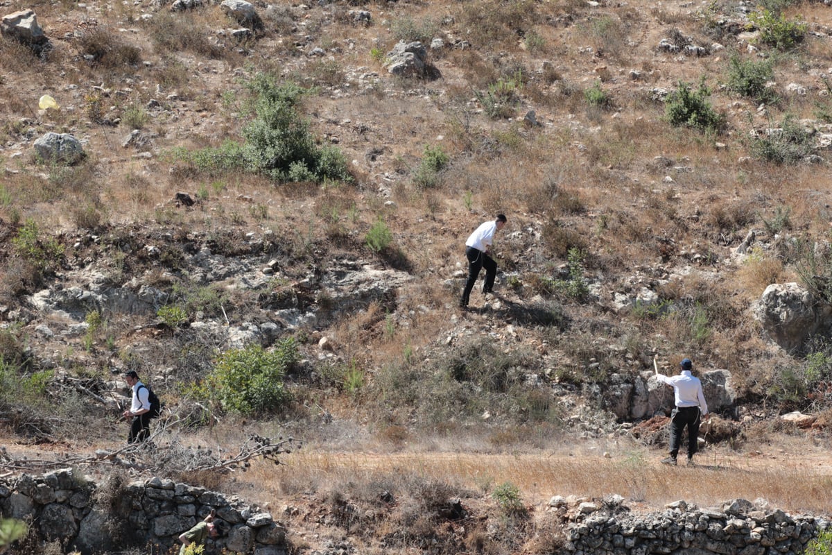 גלריה: מבצע החיפושים אחר הנעדר אהרון סופר