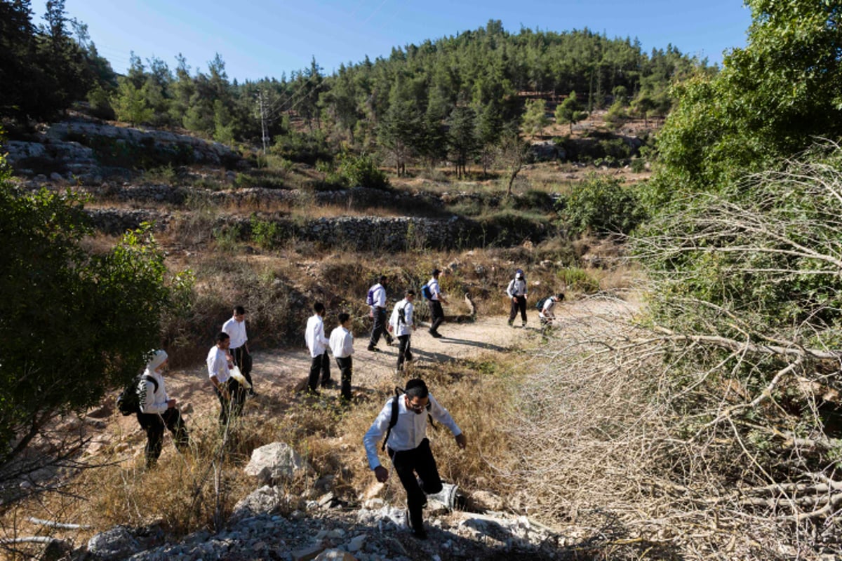 היעדרות אהרון סופר: הנעדר חרדי - החילונים מתעלמים