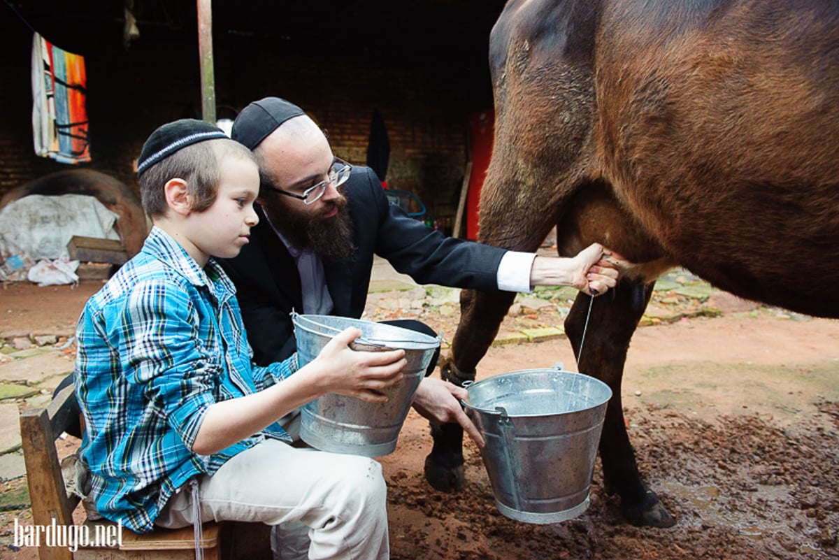 חייהם של ילדי שלוחי חב"ד בעולם נחשפים