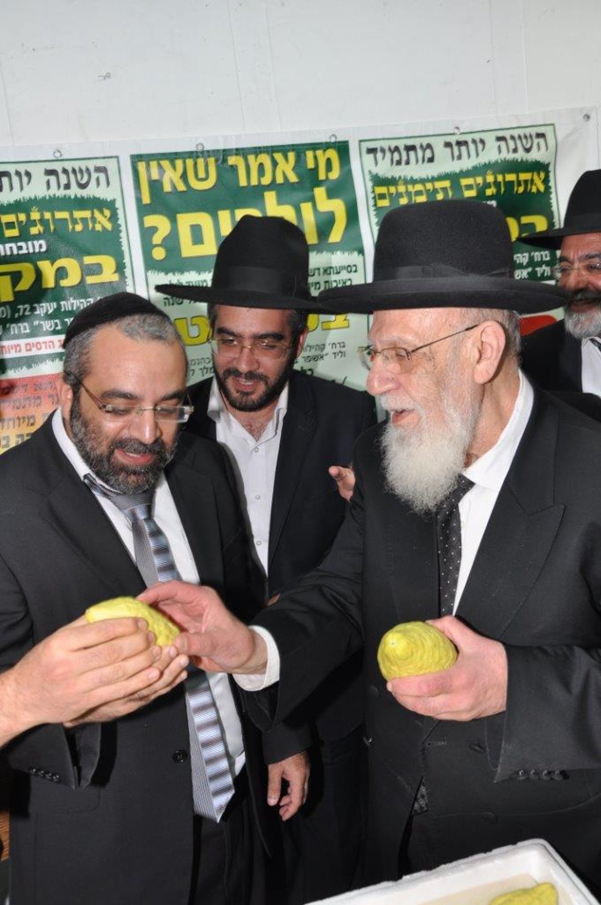 תיעוד: הגר"ש כהן בבדיקת אתרוגים