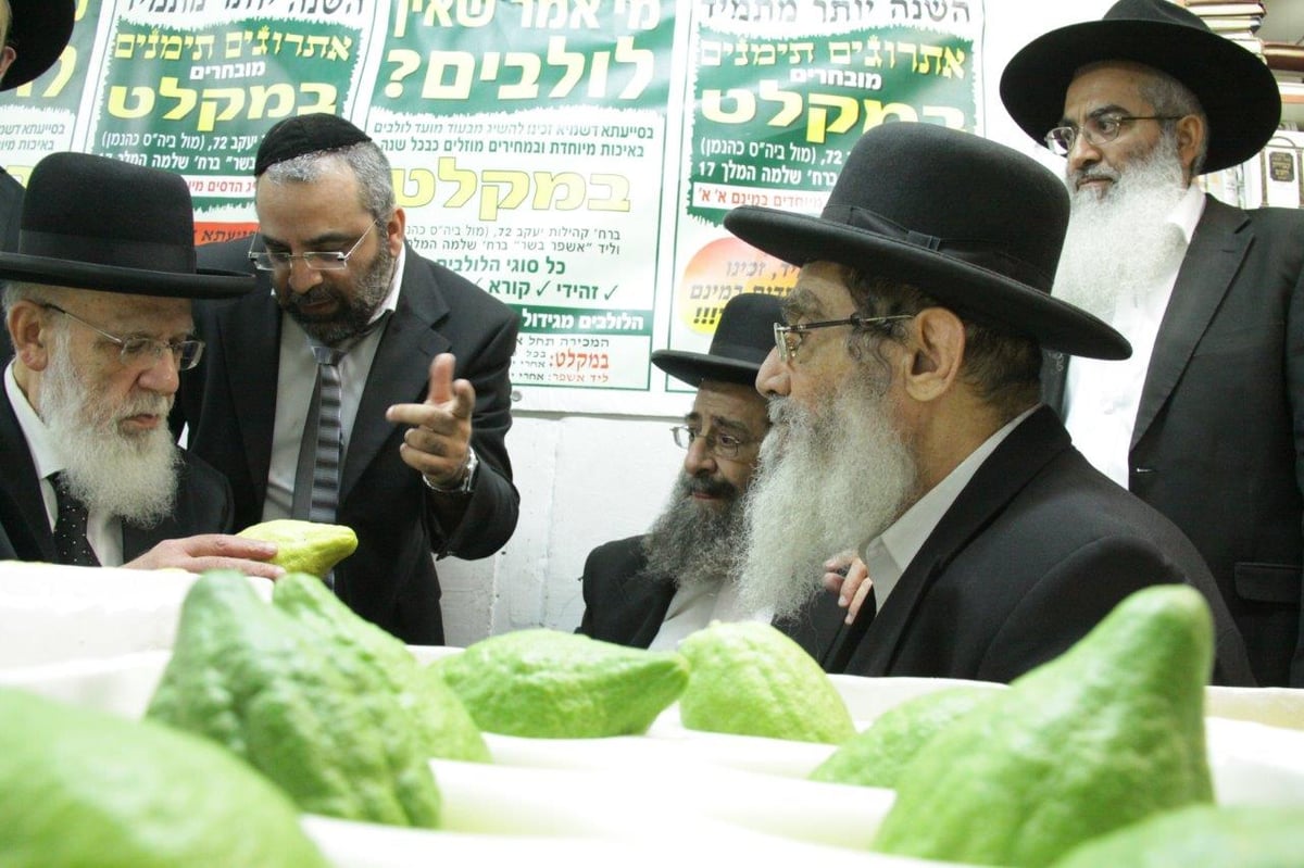 תיעוד: הגר"ש כהן בבדיקת אתרוגים