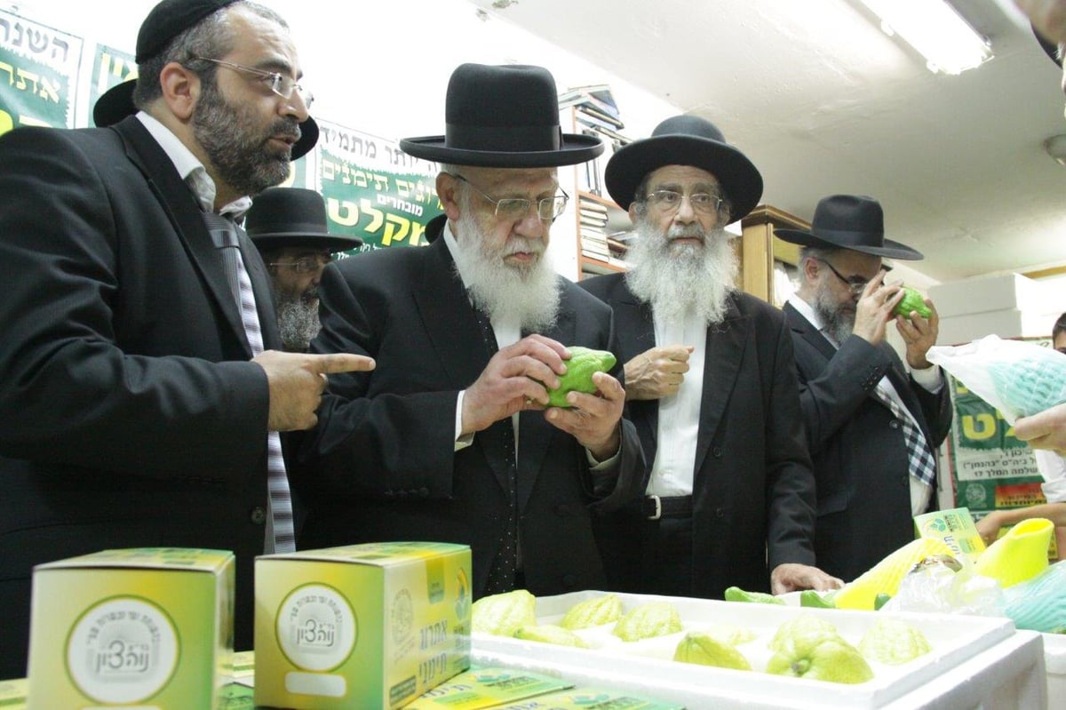 תיעוד: הגר"ש כהן בבדיקת אתרוגים