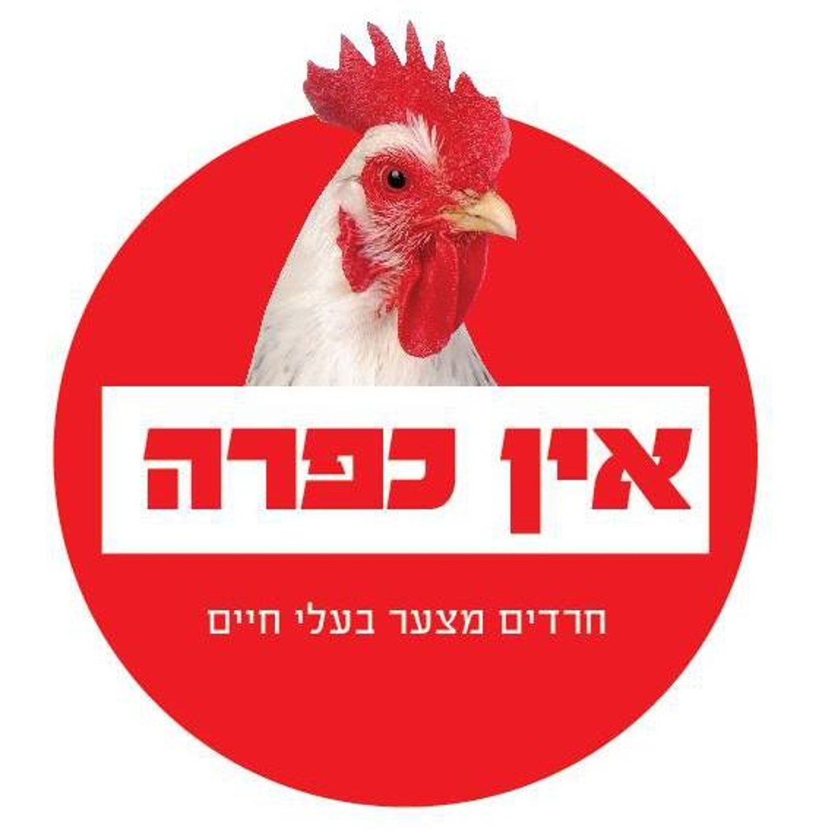 אין כפרה. תמונת הקמפיין