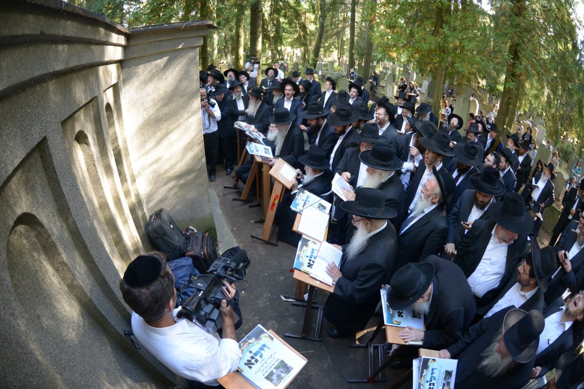 תיעוד מרגש: חברי 'המועצת' בתחינה בציון הגון מוילנא