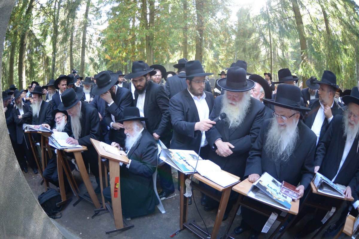 תיעוד מרגש: חברי 'המועצת' בתחינה בציון הגון מוילנא