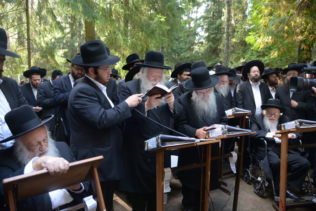 תיעוד מרגש: חברי 'המועצת' בתחינה בציון הגון מוילנא