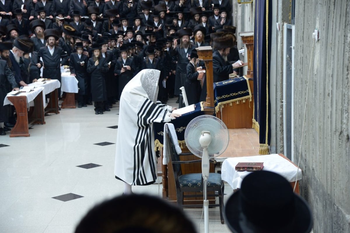 לקראת יום הדין: עם ישראל מבקש סליחה • תיעוד ענק