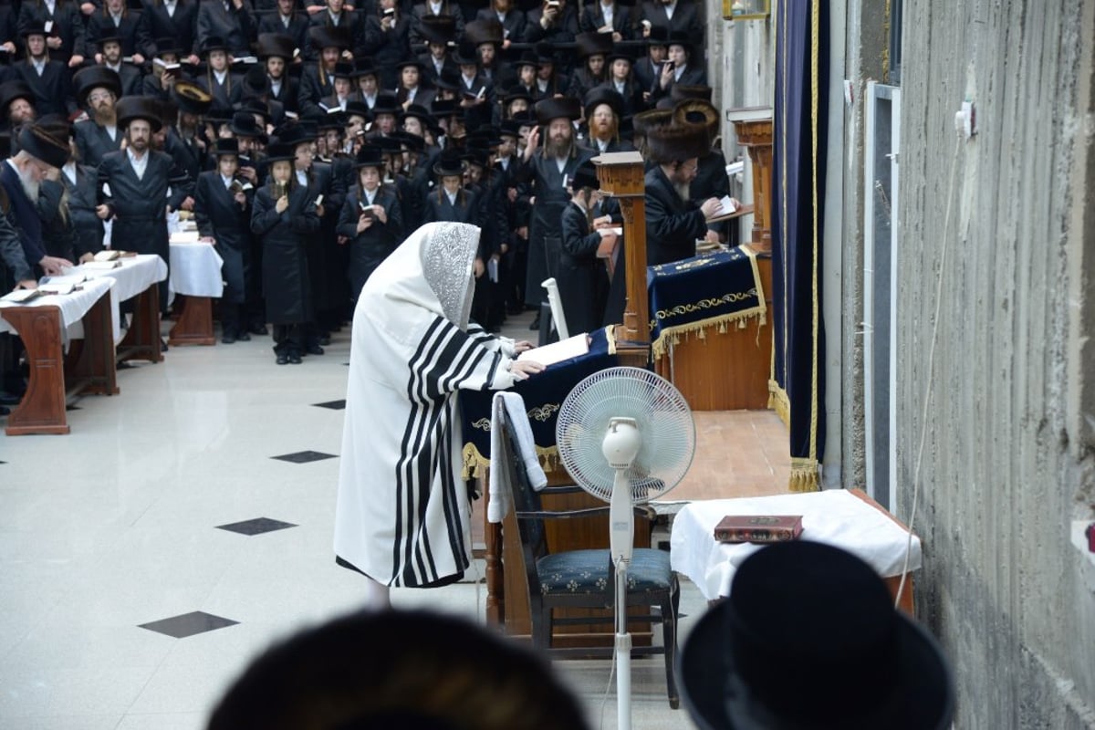 לקראת יום הדין: עם ישראל מבקש סליחה • תיעוד ענק