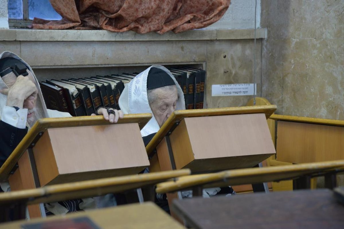 תיעוד: ערב ראש השנה ב"סלבודקא"