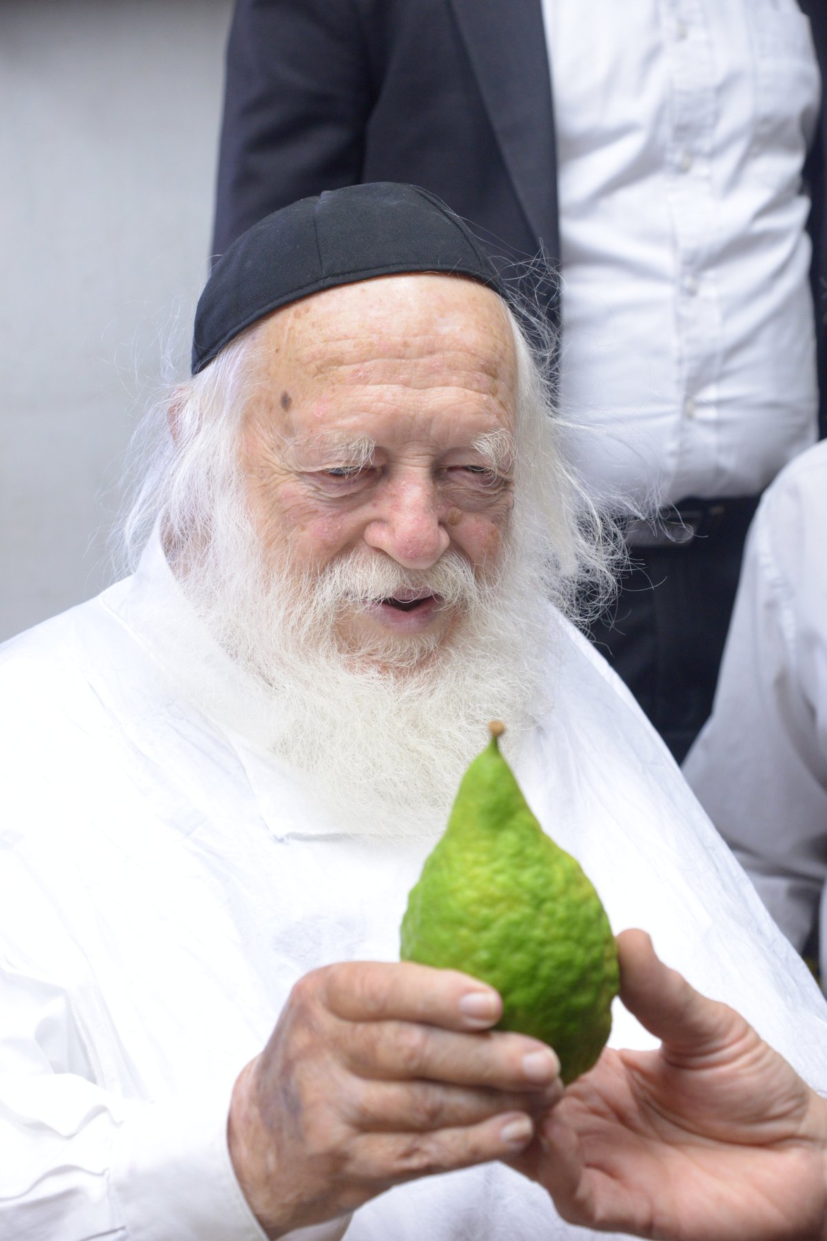 תיעוד מרהיב: הגר"ח קנייבסקי בבדיקת אתרוגים