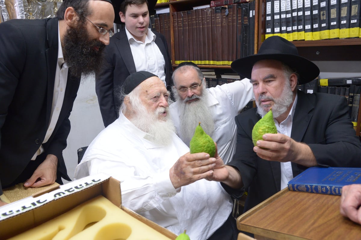 תיעוד מרהיב: הגר"ח קנייבסקי בבדיקת אתרוגים