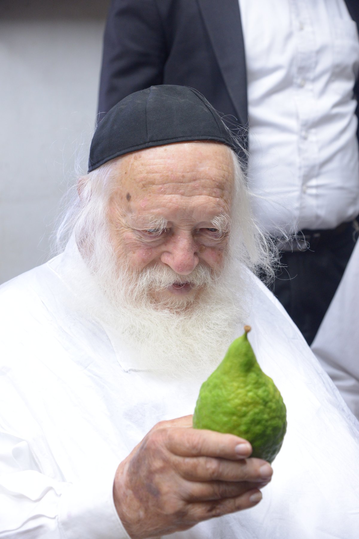 תיעוד מרהיב: הגר"ח קנייבסקי בבדיקת אתרוגים