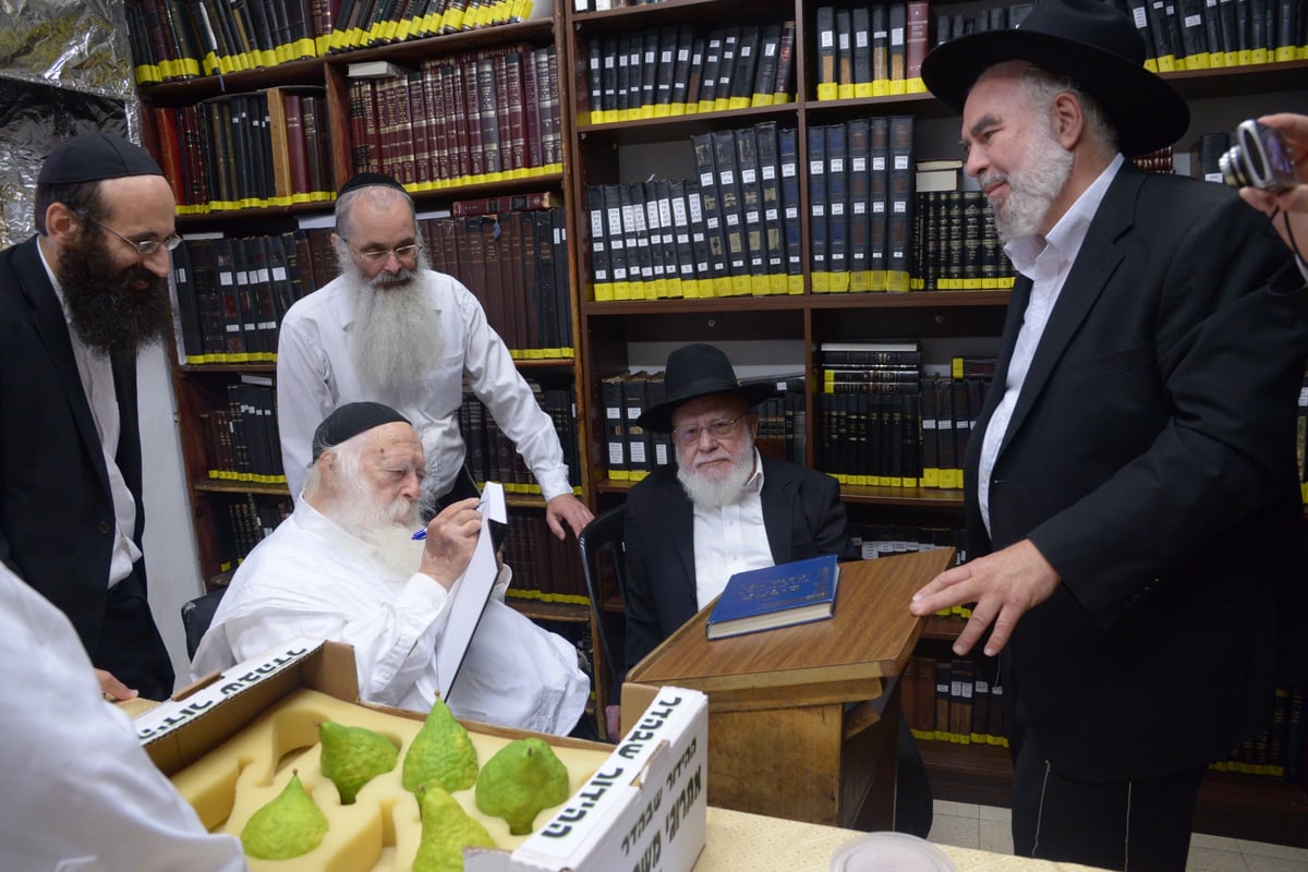 תיעוד מרהיב: הגר"ח קנייבסקי בבדיקת אתרוגים