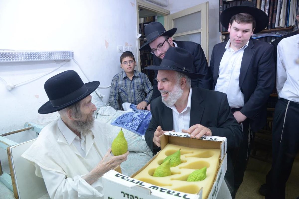 גלריה • מרן הגראי"ל שטיינמן בבחירת אתרוג