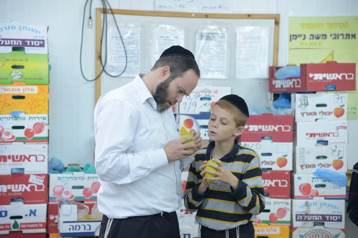 הגלריה של גולדשטיין • ערב חג הסוכות בבני ברק