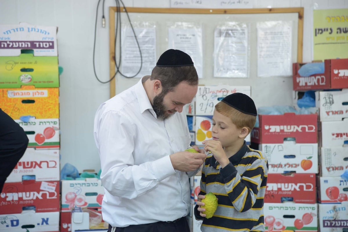 הגלריה של גולדשטיין • ערב חג הסוכות בבני ברק