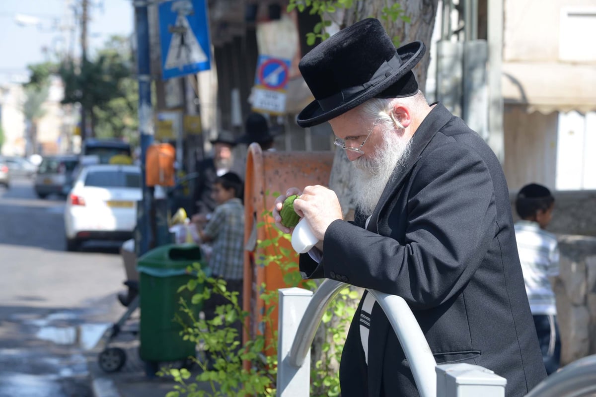 הגלריה של גולדשטיין • ערב חג הסוכות בבני ברק