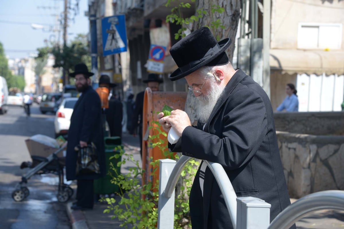 הגלריה של גולדשטיין • ערב חג הסוכות בבני ברק