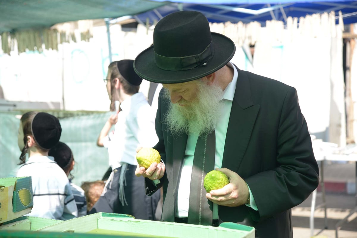 הגלריה של גולדשטיין • ערב חג הסוכות בבני ברק