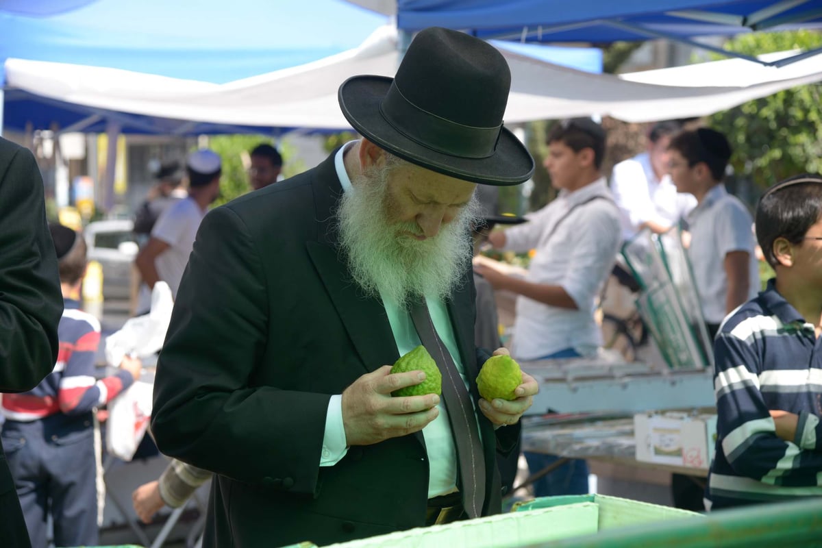 הגלריה של גולדשטיין • ערב חג הסוכות בבני ברק