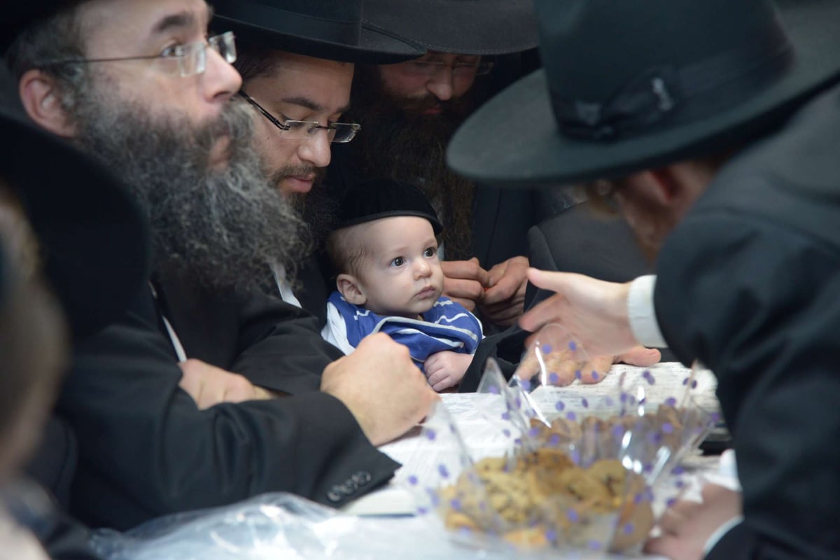 שמחת בית השואבה בסוכת מרן הגר"ח קנייבסקי • צפו