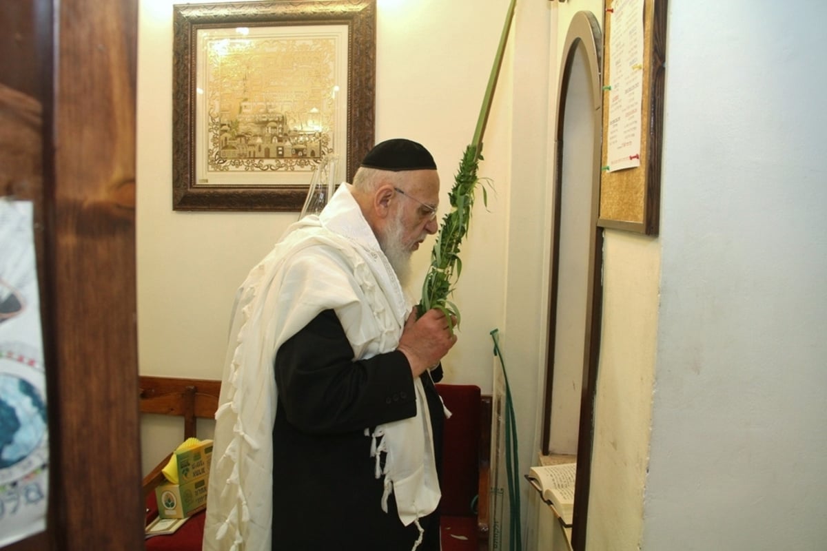 עם נשיא מועצת החכמים בסוכה • גלריה חגיגית