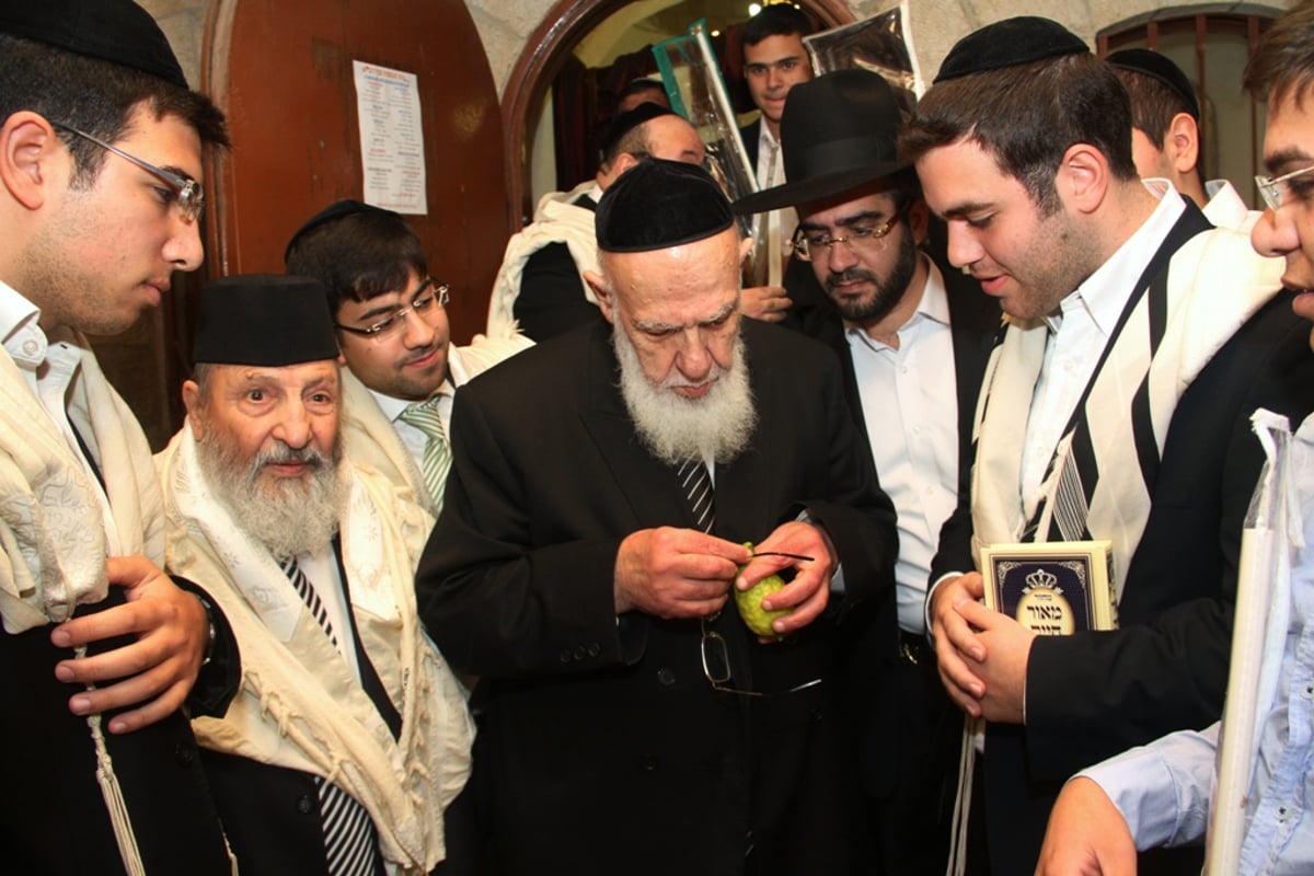 עם נשיא מועצת החכמים בסוכה • גלריה חגיגית