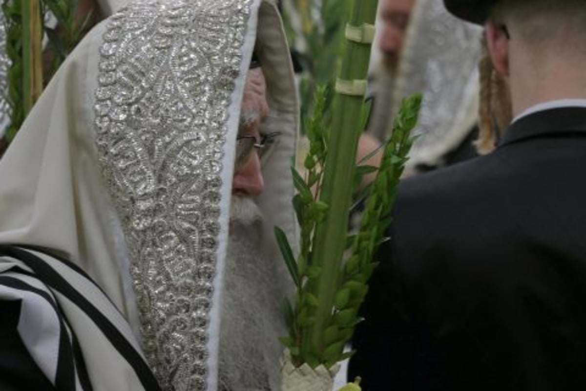 תיעוד: אדמו"רי בלגיה בהושענות