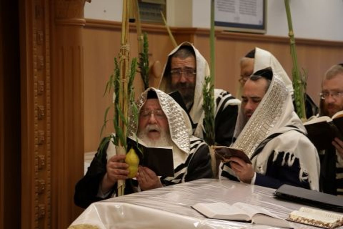 תיעוד: אדמו"רי בלגיה בהושענות